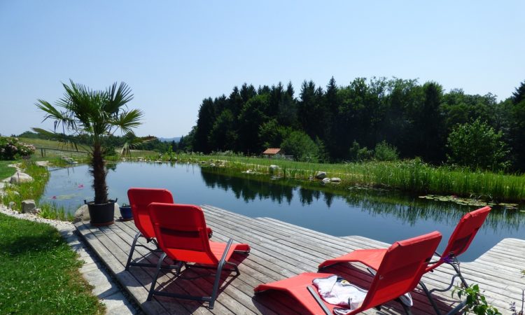 Schwimmteich im Garten